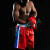 Boxing Shorts